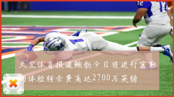 天空体育报道鲍勃今日将进行富勒姆体检转会费高达2700万英镑